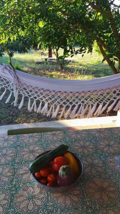 הוילה Campoleone Country House Tra Lago E Mare A Sud Di Roma מראה חיצוני תמונה