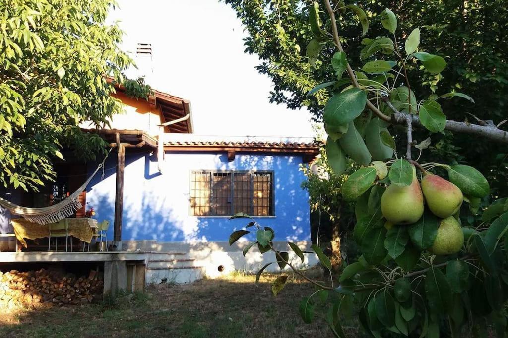 הוילה Campoleone Country House Tra Lago E Mare A Sud Di Roma מראה חיצוני תמונה