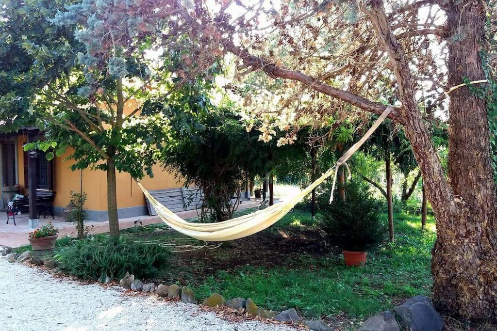 הוילה Campoleone Country House Tra Lago E Mare A Sud Di Roma מראה חיצוני תמונה